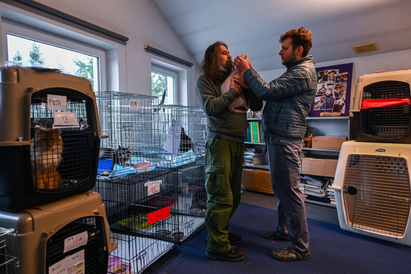 Clínica veterinária da Fundação Ada, em Przemysl (Polónia) onde são tratados os animais evacuados da Ucrânia