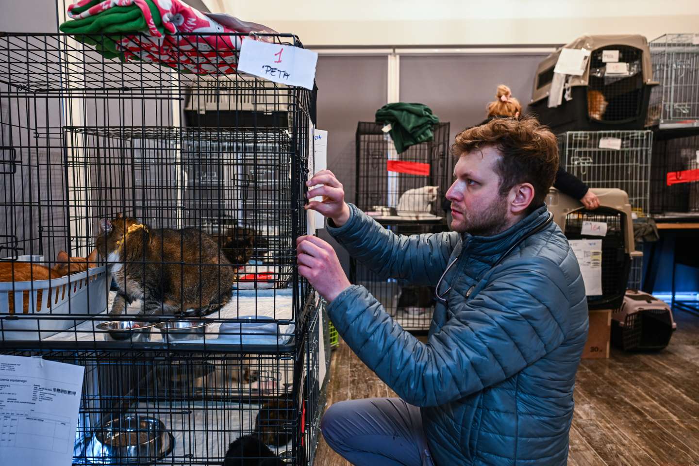 Clínica veterinária da Fundação Ada, em Przemysl (Polónia) onde são tratados os animais evacuados da Ucrânia