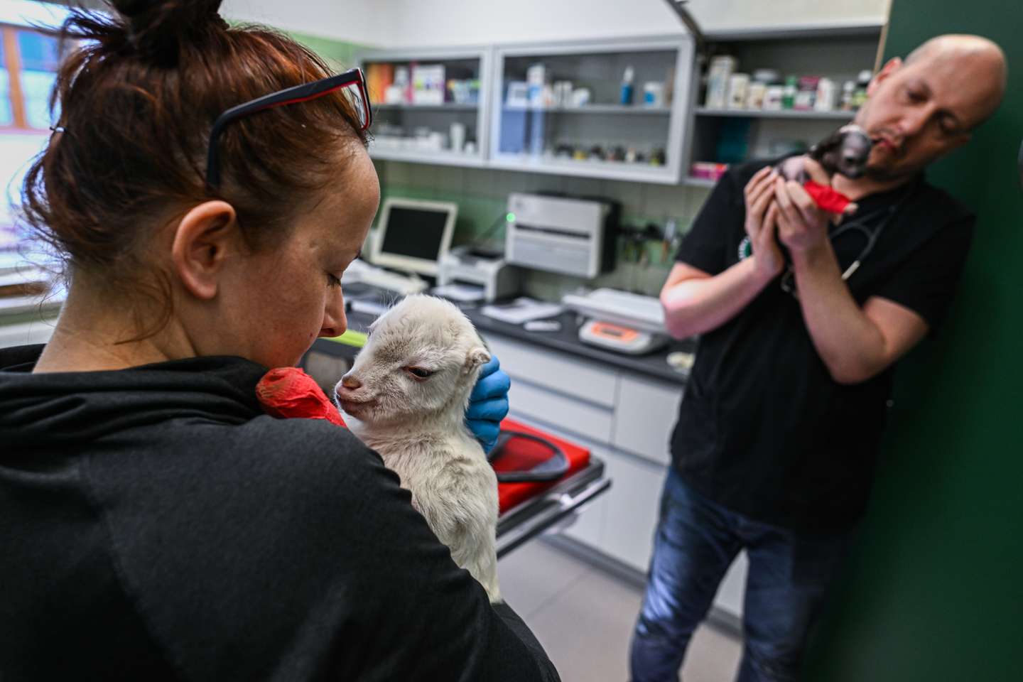 Clínica veterinária da Fundação Ada, em Przemysl (Polónia) onde são tratados os animais evacuados da Ucrânia