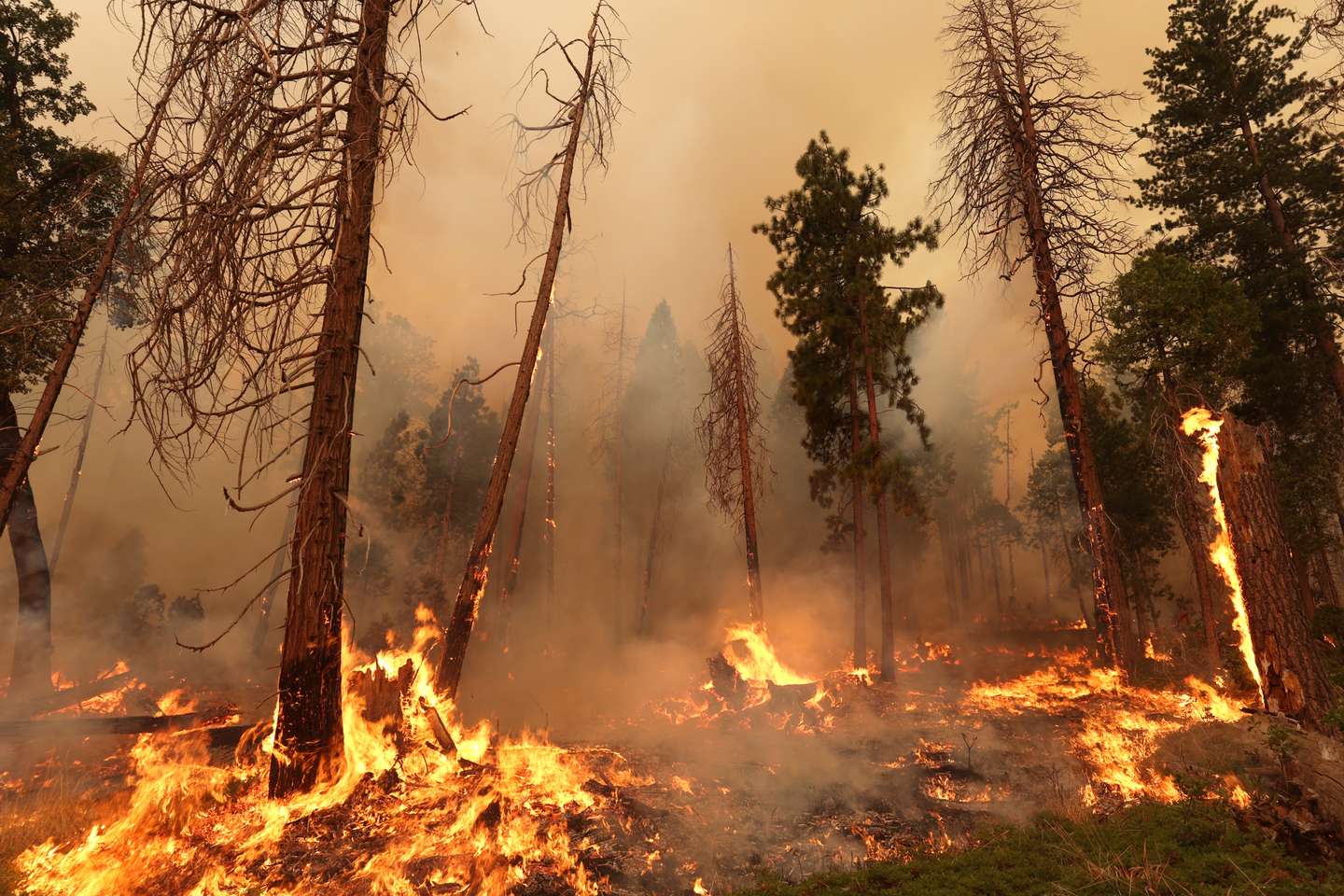 Oak Fire Sparks Evacuations in Mariposa County