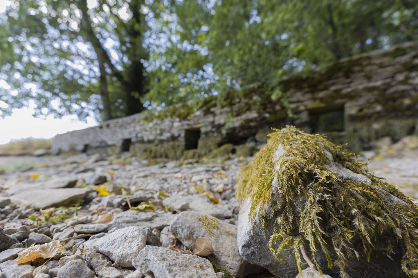 Source of River Thames dries out due to drought