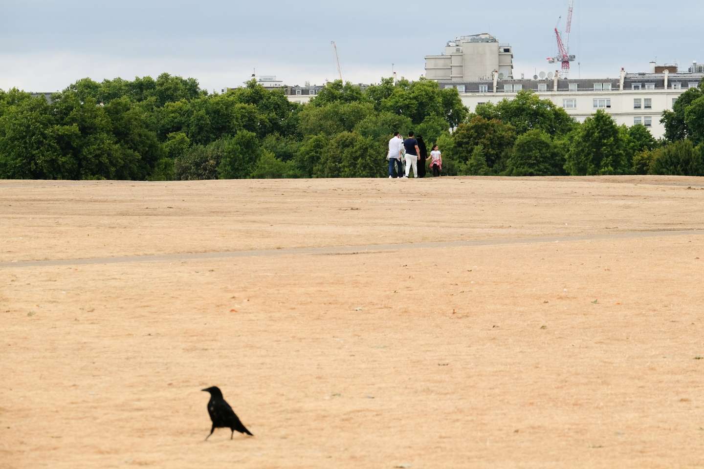 UK drought warnings, London, UK
