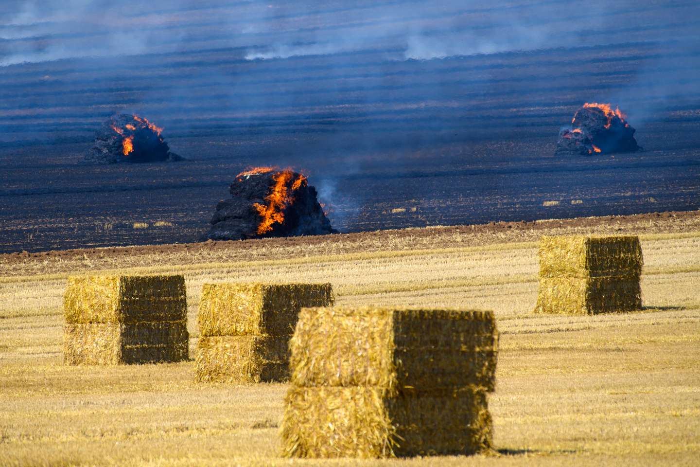 Heat in Germany - Field fire near Hedersleben