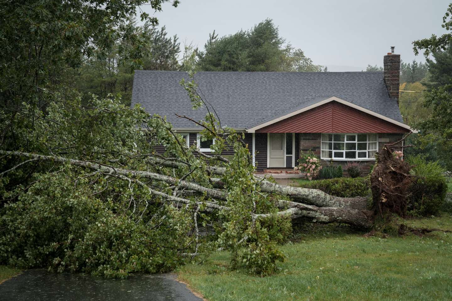 Post-Tropical Storm Fiona Slams Into Nova Scotia As One Of Canada's Largest Storms To Make Landfall