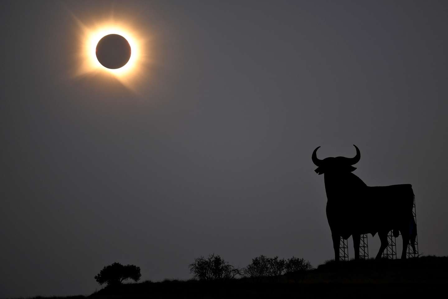 GettyImages-2289700700