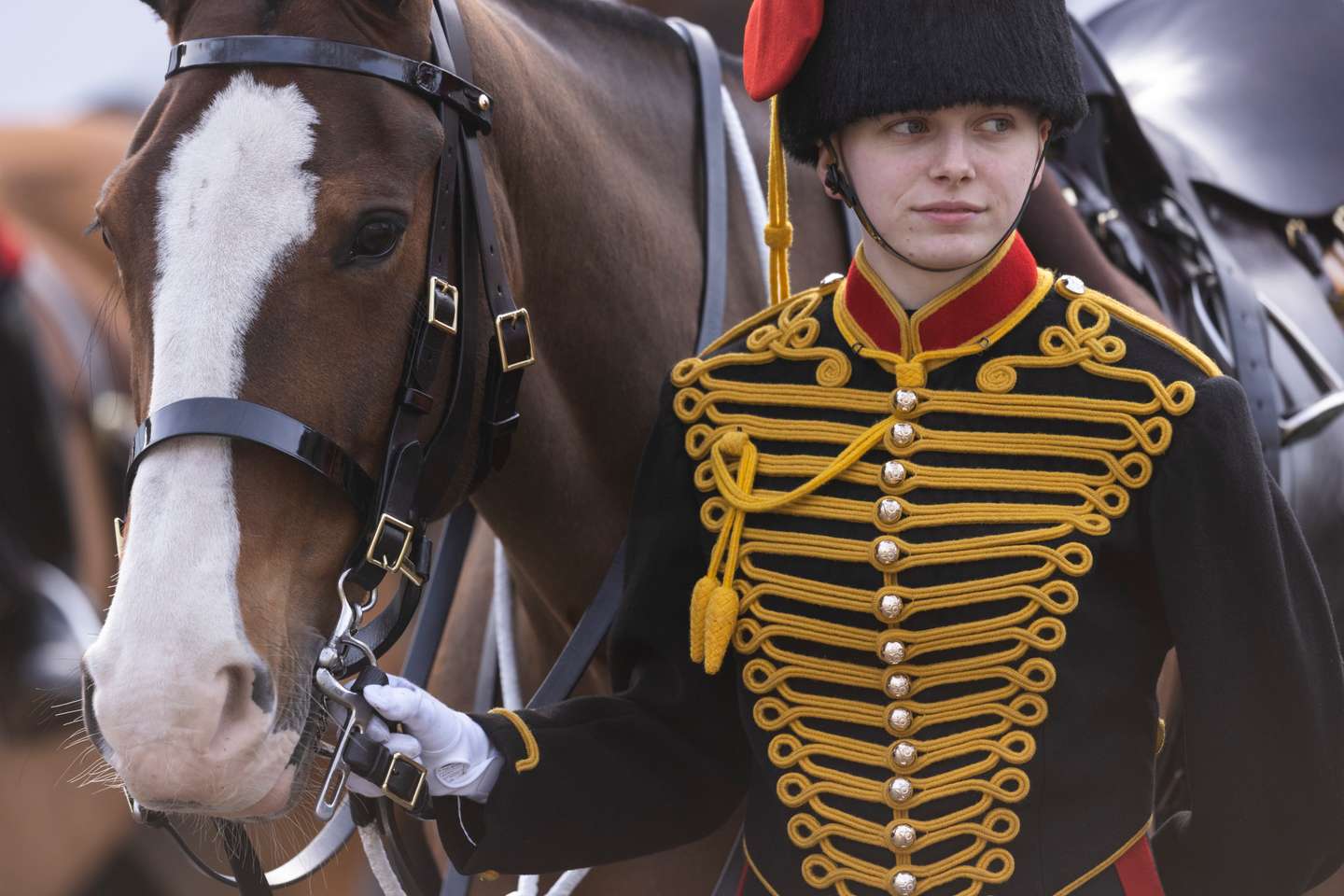 A celebração da Companhia Real de Artilharia a Cavalo que marca o Jubileu de Platina da Rainha Isabel II