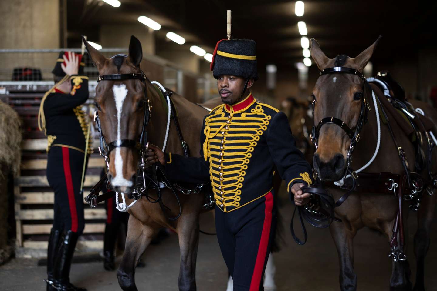 A celebração da Companhia Real de Artilharia a Cavalo que marca o Jubileu de Platina da Rainha Isabel II