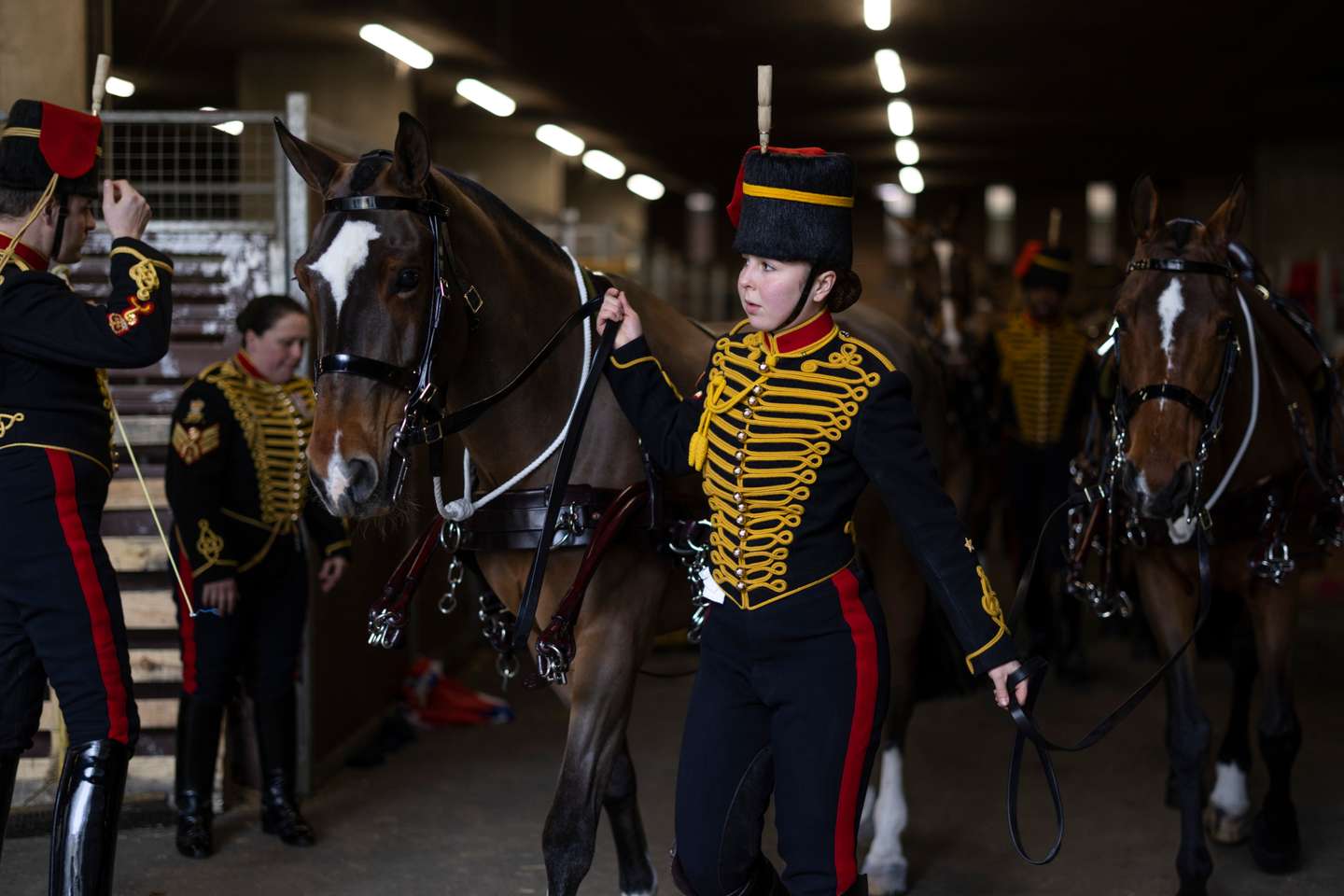 A celebração da Companhia Real de Artilharia a Cavalo que marca o Jubileu de Platina da Rainha Isabel II