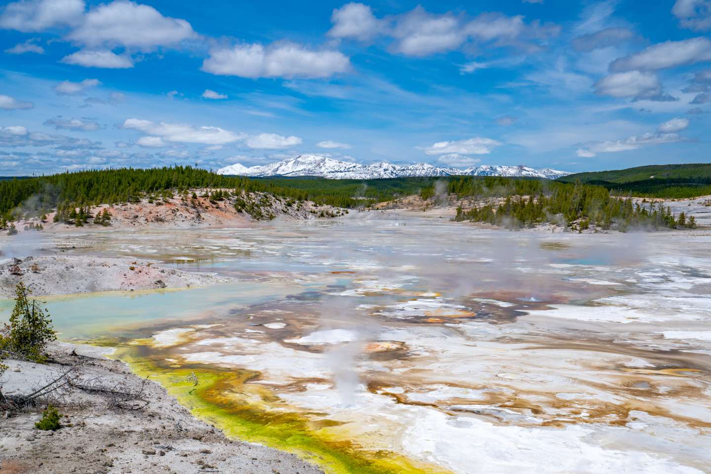 Yellowstone National Park Exteriors And Landmarks - 2021