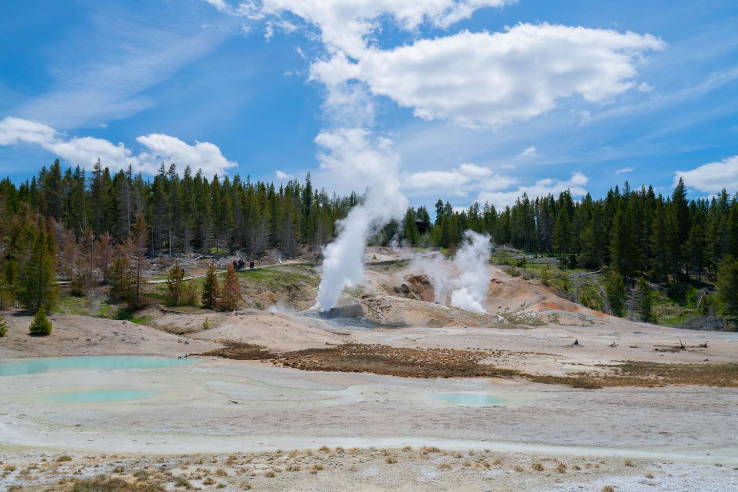 Yellowstone National Park Exteriors And Landmarks - 2021