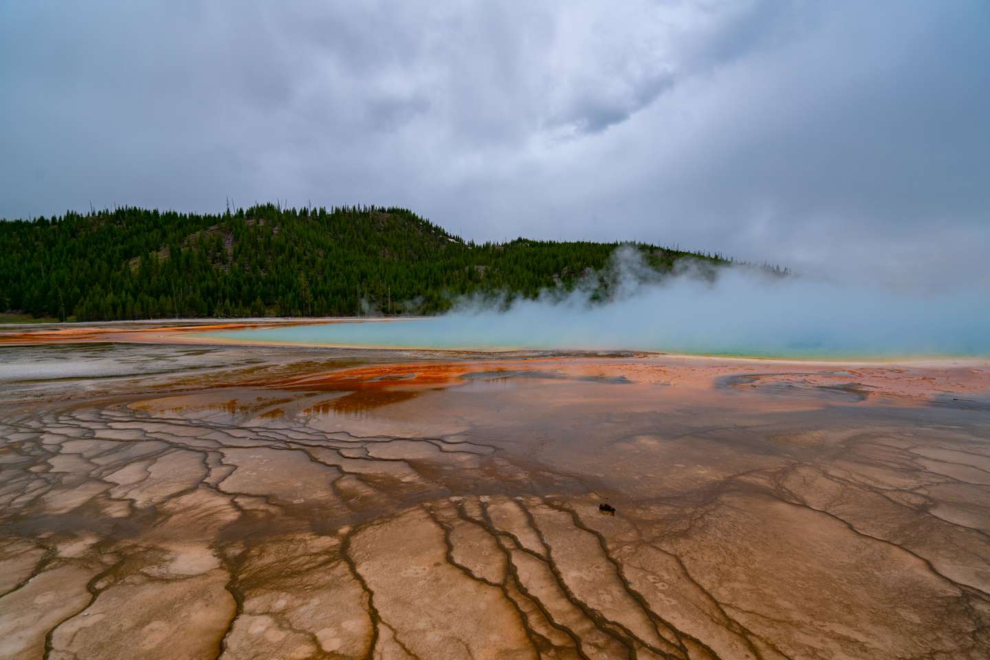 Yellowstone National Park Exteriors And Landmarks - 2021