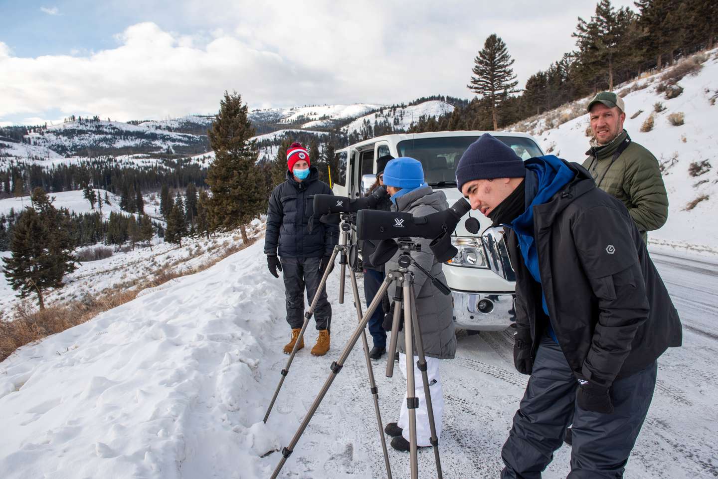 Yellowstone Park Addressing Wolf Hunting And Bison Issues