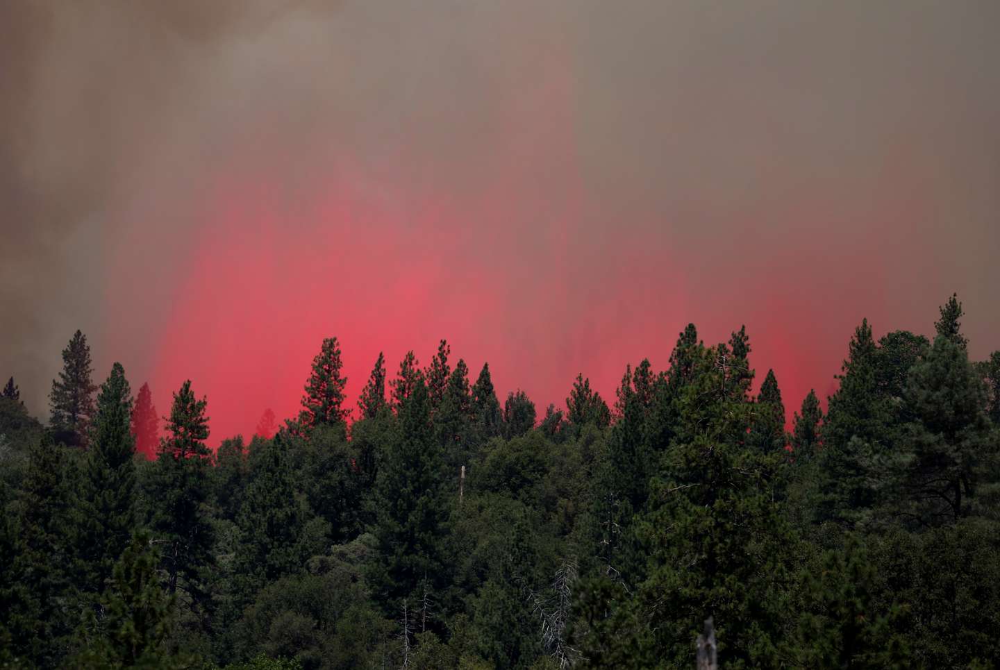 Oak Fire Sparks Evacuations in Mariposa County