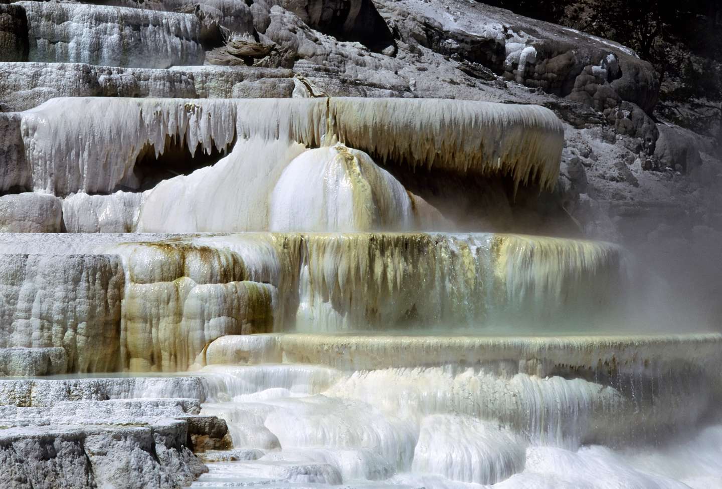 USA, Wyoming, Yellowstone National Park, Mammoth Hot Springs