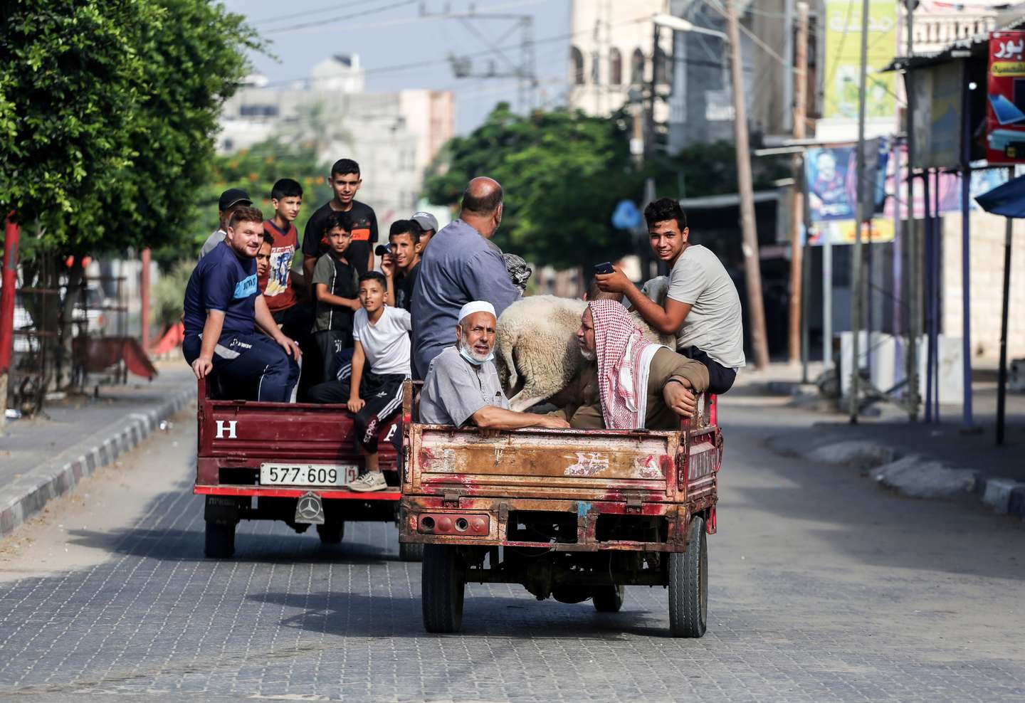 Palestinians leave on a "tuk-tuk" with their sheep they