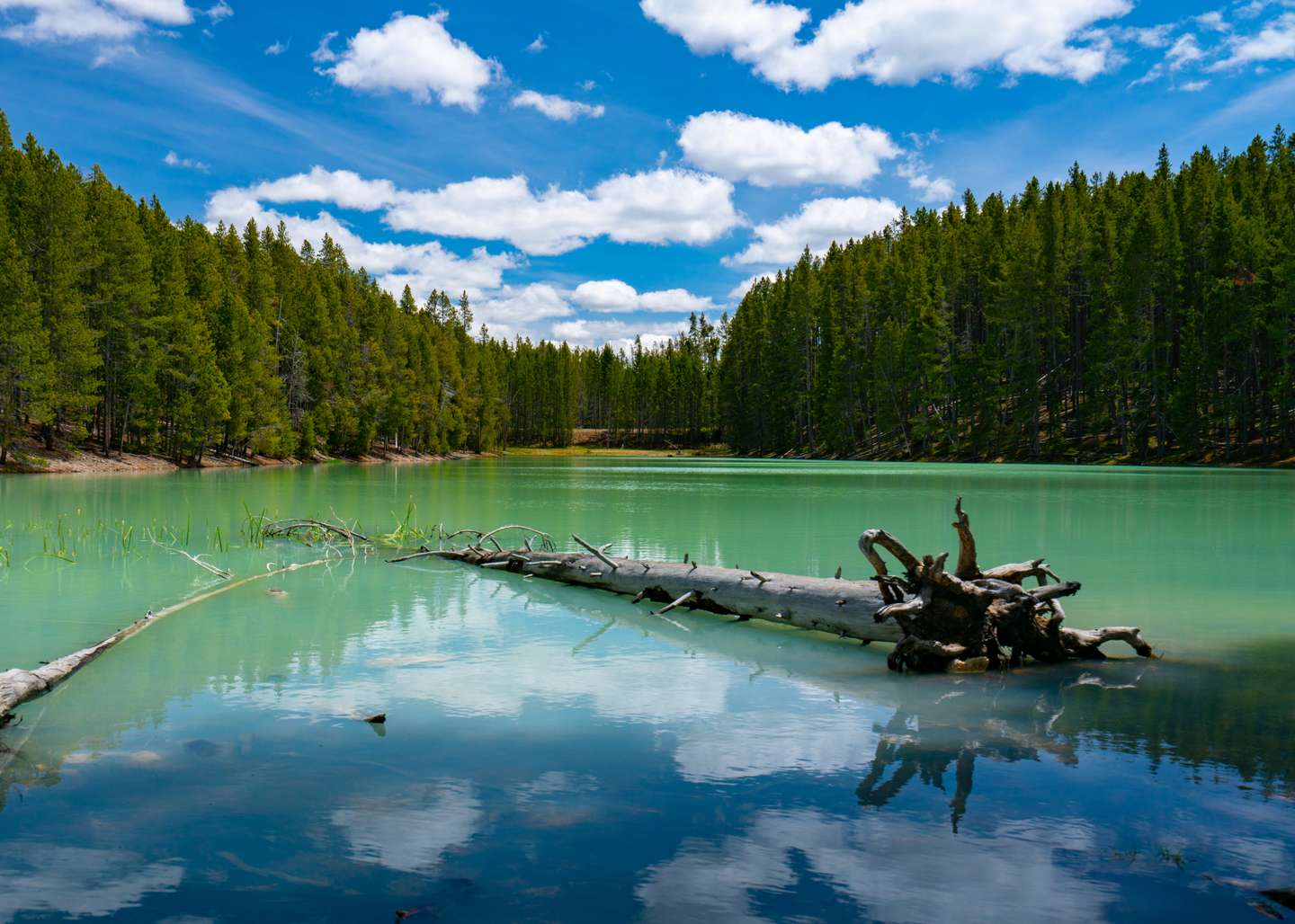 Yellowstone National Park Exteriors And Landmarks - 2021