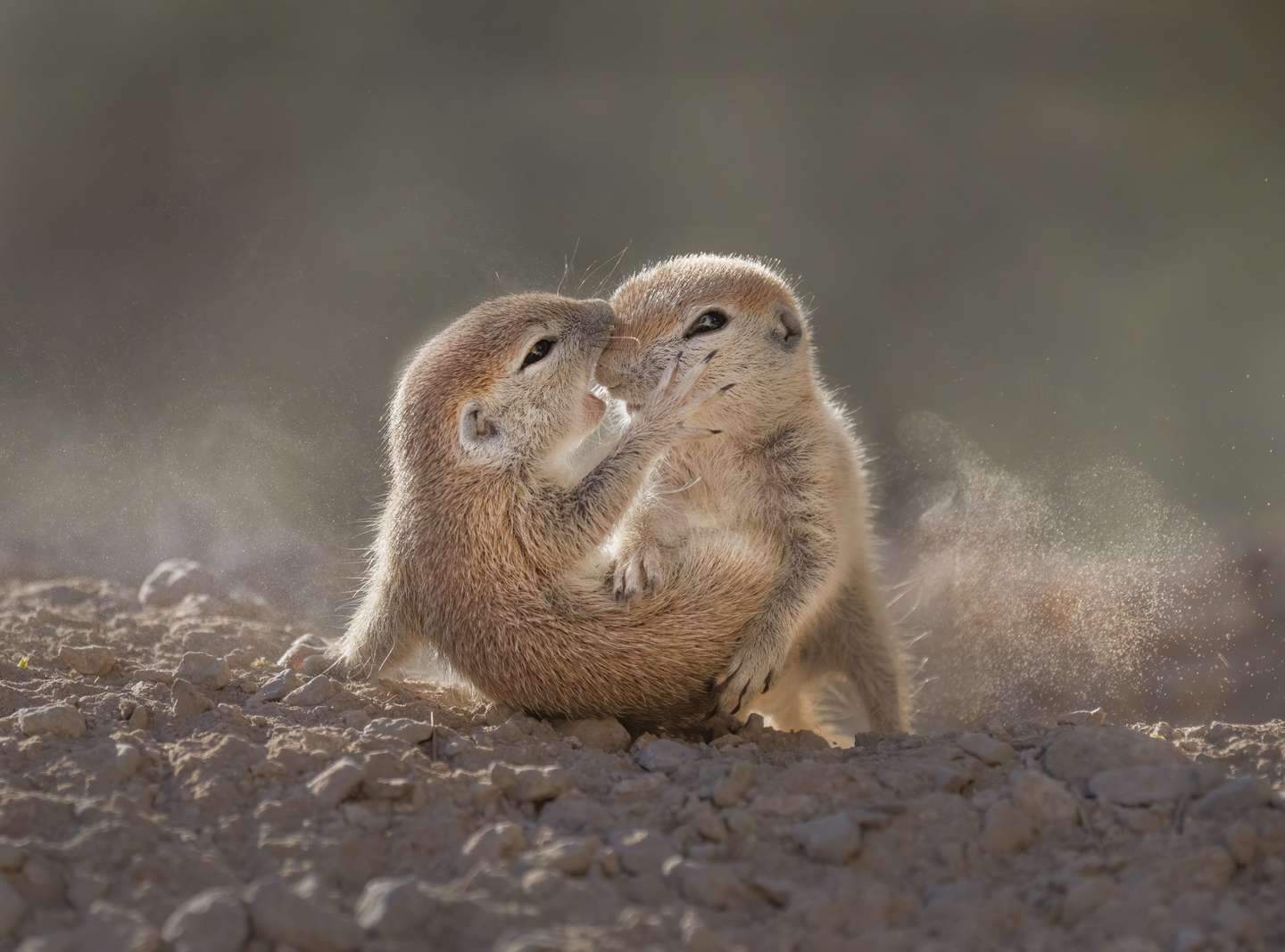 Nature Photographer of the Year 2021