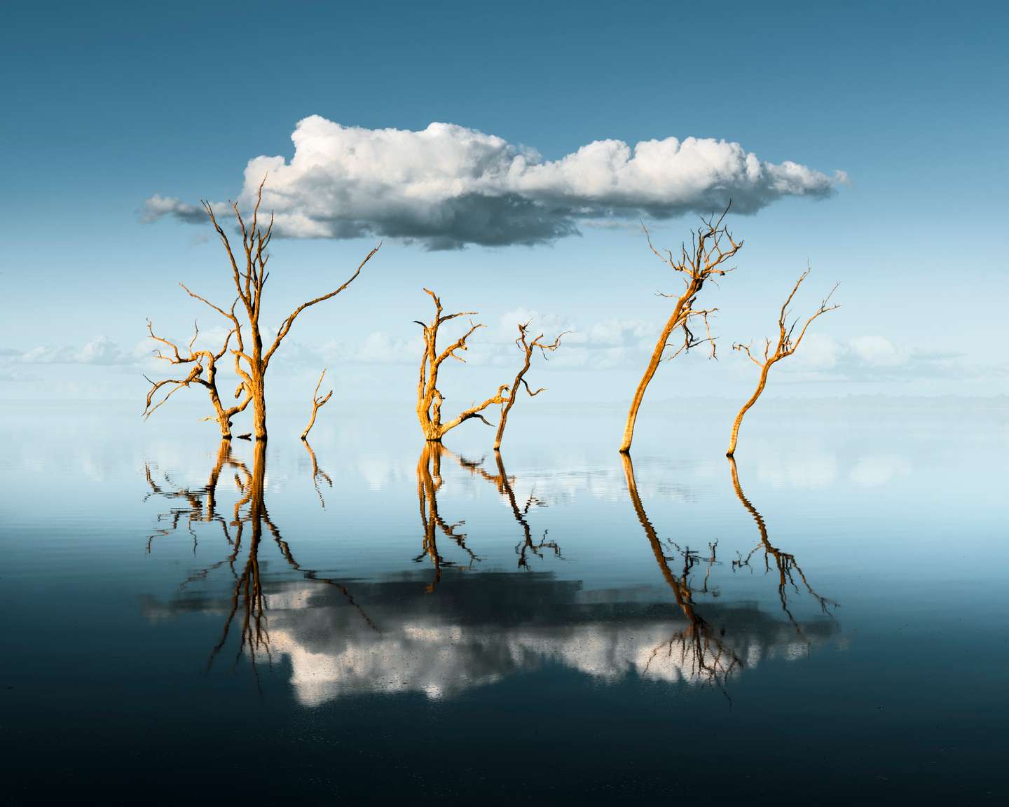 International Landscape Photographer of the Year