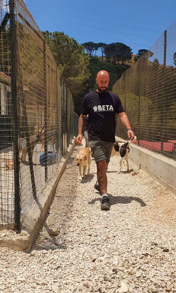 Mário Veterinário