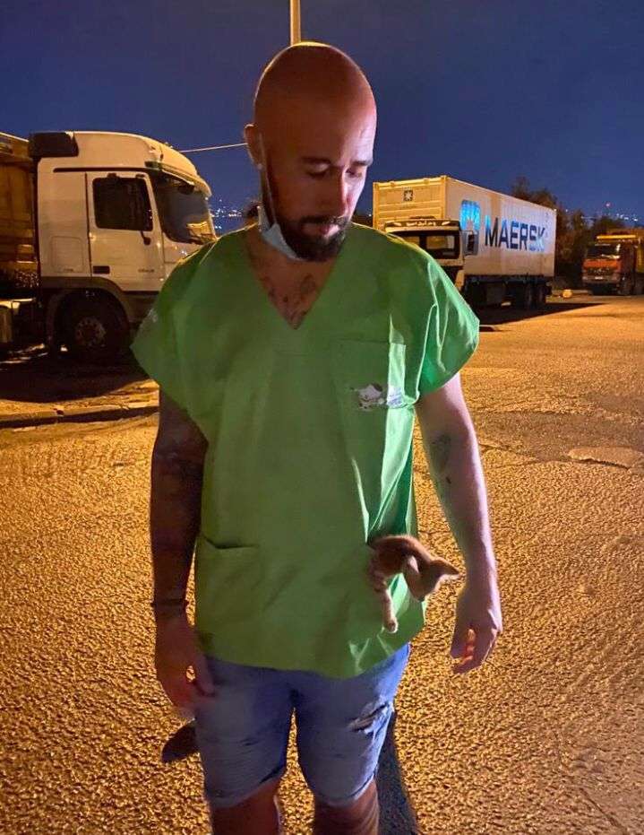 Mário Veterinário