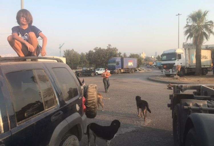 Líbano Veterinário Mário