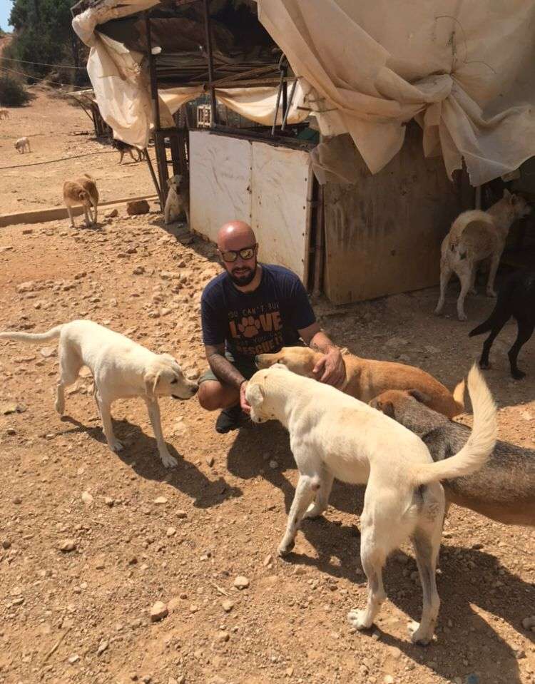 Mário Veterinário