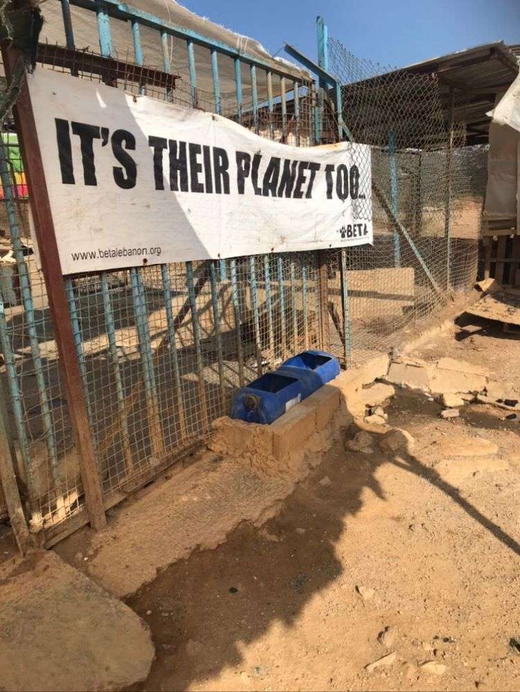 Líbano Veterinário Mário