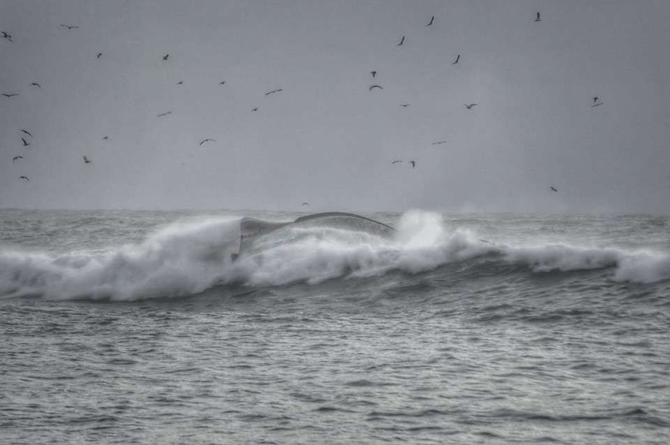 naufrágio, figueira da foz