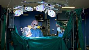 Transplante