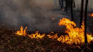 Um popular combate um incêndio que lavra na freguesia da Boa Vista, Leiria, 12 de julho de 2022. O incêndio que deflagrou hoje na freguesia da Caranguejeira, no concelho de Leiria, obrigou ao corte da autoestrada 1 em ambos os sentidos. PAULO CUNHA/LUSA