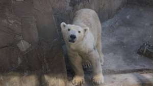 zoo de Mykolaiv