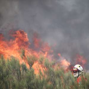 Um bombeiro combate as chamas durante o incêndio na encosta da aldeia de Moura da Serra, Arganil, 14 de agosto de 2025. De acordo com os dados disponíveis no ‘site’ da Autoridade Nacional de Emergência e Proteção Civil (ANEPC), quase 900 operacionais combatiam o fogo que deflagrou na quarta-feira na freguesia de Piódão, no concelho de Arganil, distrito de Coimbra, e se estendeu depois aos municípios de Oliveira do Hospital e Pampilhosa da Serra (Coimbra), e de Seia, já no distrito da Guarda. PAULO CUNHA/LUSA