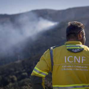 Fogo controlado pelo ICNF, na Serra do Marão, em Amarante, 17 de março de 2026. (ACOMPANHA TEXTO DO DIA 19 DE MARÇO DE 2026). PEDRO SARMENTO COSTA/LUSA