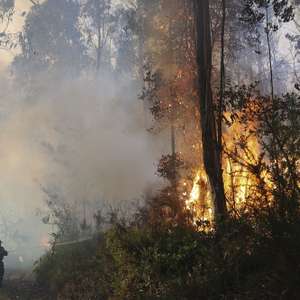 Bombeiros combatem o incêndio florestal que deflagrou ao início da tarde na zona de Eirol/Eixo, no concelho de Aveiro, e obrigou ao corte da Autoestrada do Norte (A1), em Aveiro, 18 de setembro de 2026. PAULO NOVAIS/LUSA