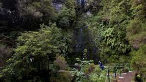 Serras do interior da Ilha da Madeira, no Ribeiro Frio, com estreitos caminhos pedestres, geralmente acompanhados por levadas, que são muitos utilizados por turistas para passeios, em Santana, Ilha da Madeira, 21 de Junho de 2008. HOMEM DE GOUVEIA/LUSA