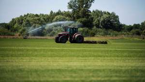 Os agricultores têm até esta segunda-feira para apresentar a sua candidatura ao Pedido Único (PU) 2025, sem penalizações, após o Governo ter alargado o prazo.