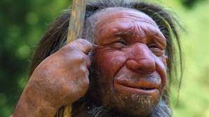 Homo sapiens