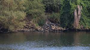 Operação de busca dos desaparecidos na queda de um helicóptero no rio Douro, próximo da localidade de Samodães, Lamego, que transportava seis passageiros, nomeadamente um piloto e uma equipa de cinco de cinco militares da Unidade de Emergência Proteção e Socorro (UEPS) que regressava do combate a um incêndio no concelho de Baião, Peso da Régua, 30 de agosto de 2024.  ESTELA SILVA/LUSA
