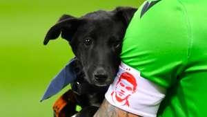 FCSB v Dinamo Bucharest - Romanian First League