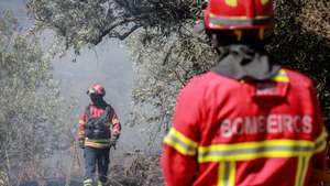 Bombeiros durante a fase de rescaldo do incêndio que defdlagrou na localidade de Silvares,  no concelho do Fundão, Castelo Branco, 14 de setembro de 2024. Segundo a página da Autoridade Nacional de Emergência e Proteção Civil, às 11:05, estavam no terreno 691 operacionais, apoiados por 217 viaturas e sete meios aéreos.
MIGUEL PEREIRA DA SILVA/LUSA