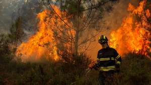 Um bombeiro durante o combate ao incêndio em Medas, Gondomar, 18 de setembro de 2024. Sete pessoas morreram e 40 ficaram feridas, duas com gravidade, nos incêndios que atingem desde domingo as regiões Norte e Centro do país, nos distritos de Aveiro, Porto, Vila Real e Viseu, e que destruíram dezenas de casas e obrigaram a cortar estradas e autoestradas, como a A1, A25 e A13. JOSE COELHO/LUSA