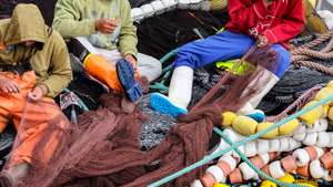 Atividade de pescadores indonésios a trabalhar em embarcações de pesca portuguesas, no Porto de Pesca de Peniche, 22 de agosto de 2024. A língua indonésia ‘bahasa’ é cada vez mais comum nos portos de pesca portugueses, misturando sotaques e experiências de um setor que resiste graças à mão-de-obra estrangeira. (ACOMPANHA TEXTO DA LUSA DO DIA 24 DE AGOSTO DE 2024). MANUEL DE ALMEIDA/LUSA