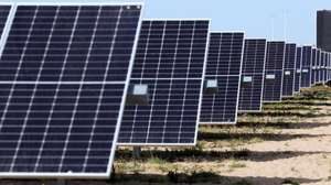 Central Solar Fotovoltaica de Pessegueiro, no dia da inauguração pelo ministro do Ambiente e Ação Climática, Duarte Cordeiro (ausente da fotografia), em Setúbal, 29 de março de 2023. ANTÓNIO COTRIM/LUSA
