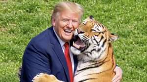 tigre trump ia