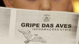 Uma crianca da escola primaria da ilha da Culatra le atentamente um folheto informativo sobre a gripe das aves, inserido na sessao de esclarecimento levada a cabo hoje, quarta feira,22 de marco de 2006, pela camara de Faro e do parque natural da Ria Formosa.FOTO LUIS FORRA/ LUSA