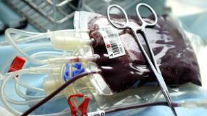 O apelo para a dádiva de sangue é feito a "todas as pessoas saudáveis com mais de 18 anos, com mais 50 quilogramas de peso e menos de 65 anos"
