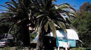 Quinta dos Ingleses, zona verde de Carcavelos