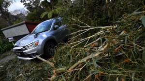 epa08630687 A damaged car is seen along Kaola Street in Belgrave, Melbourne, Victoria, Australia, 28 August 2020. Fallen trees from wild winds have killed three people in Victoria overnight, including a 4-year-old boy.  EPA/JAMES ROSS AUSTRALIA AND NEW ZEALAND OUT