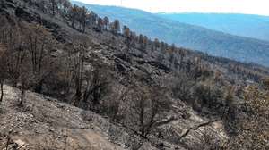 Encostas da Serra da Lousã queimadas pelo fogo que fustigou a serra durante a última semana, Lousã, 22 de agosto de 2025. PAULO NOVAIS/LUSA
