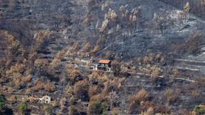 Floresta queimada pelo fogo de 15 de agosto, no incêndio em Avô, em Oliveira do Hospital, 25 de agosto de 2025. PAULO NOVAIS/LUSA